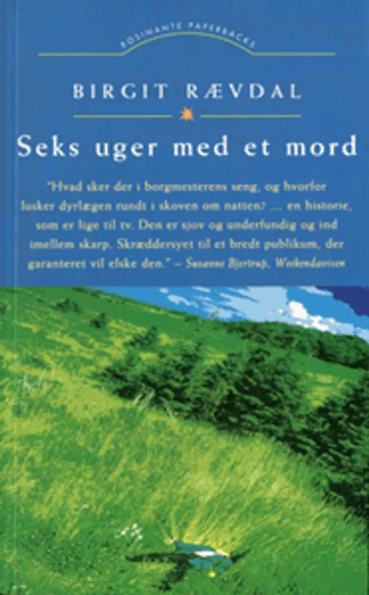 Seks uger med et mord af Birgit Rævdal