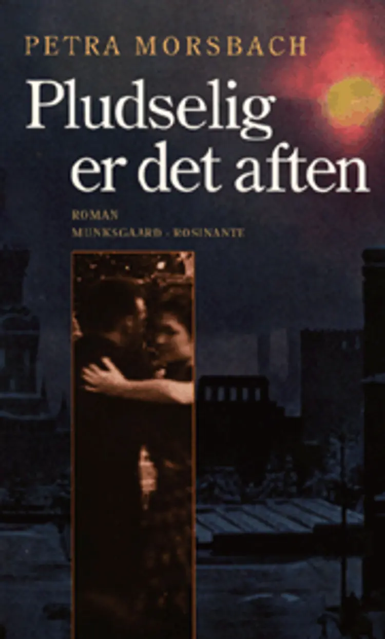Pludselig er det aften af Petra Morsbach