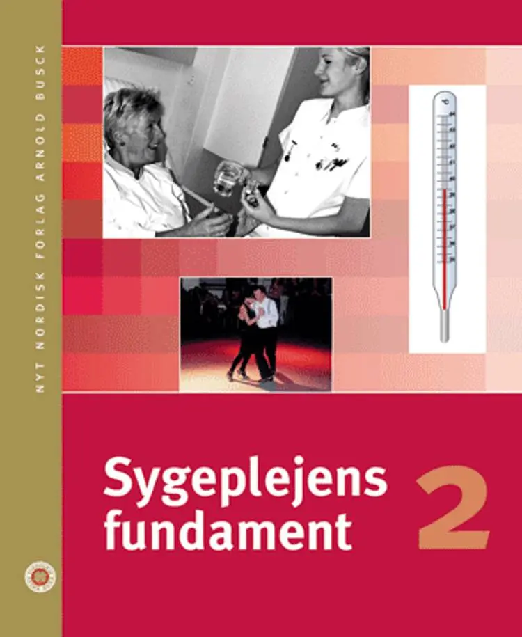 Sygeplejens fundament af Birgitte Lerche