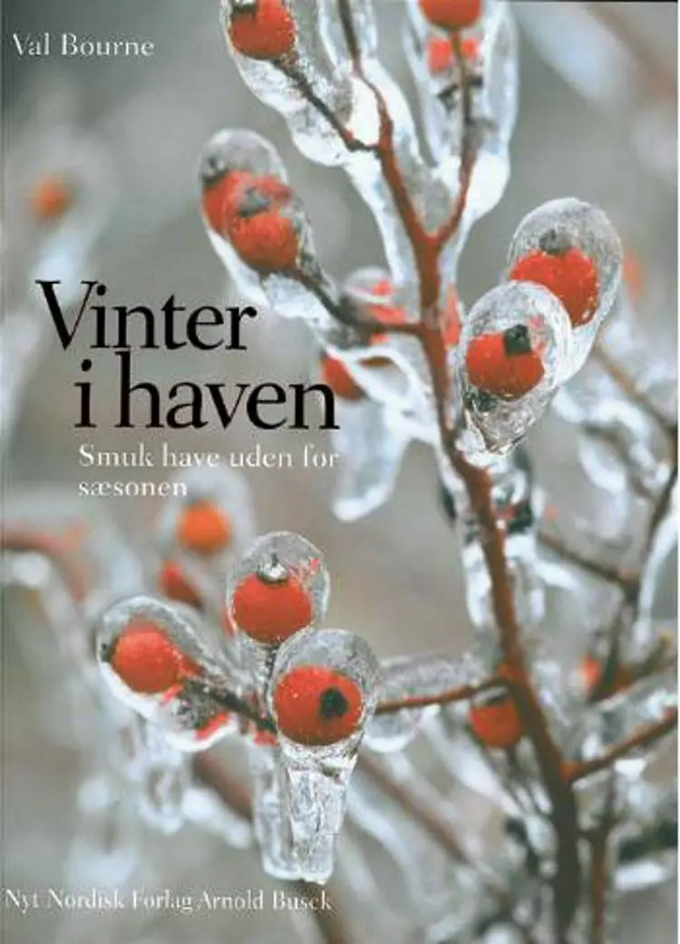 Vinter i haven af Val Bourne