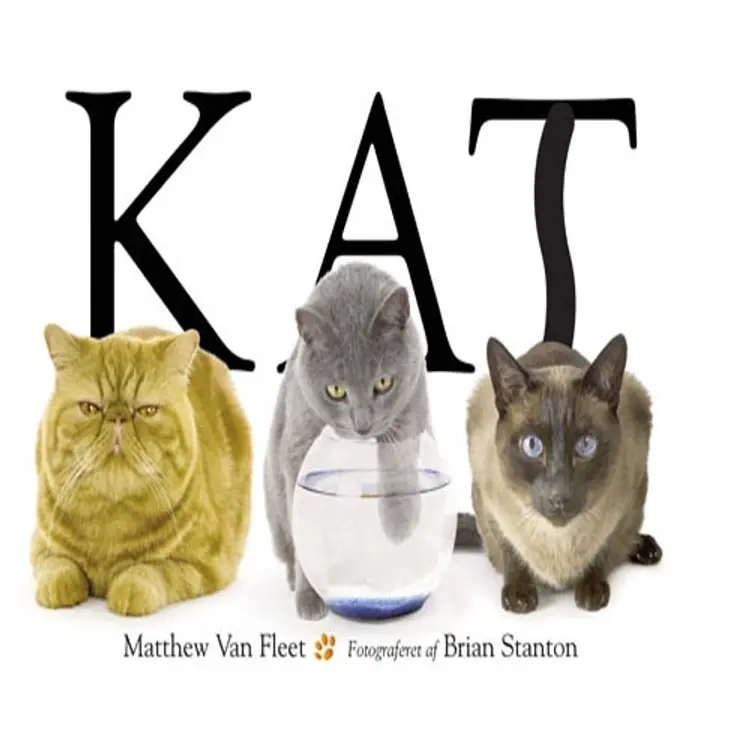 Kat af Matthew Van Fleet