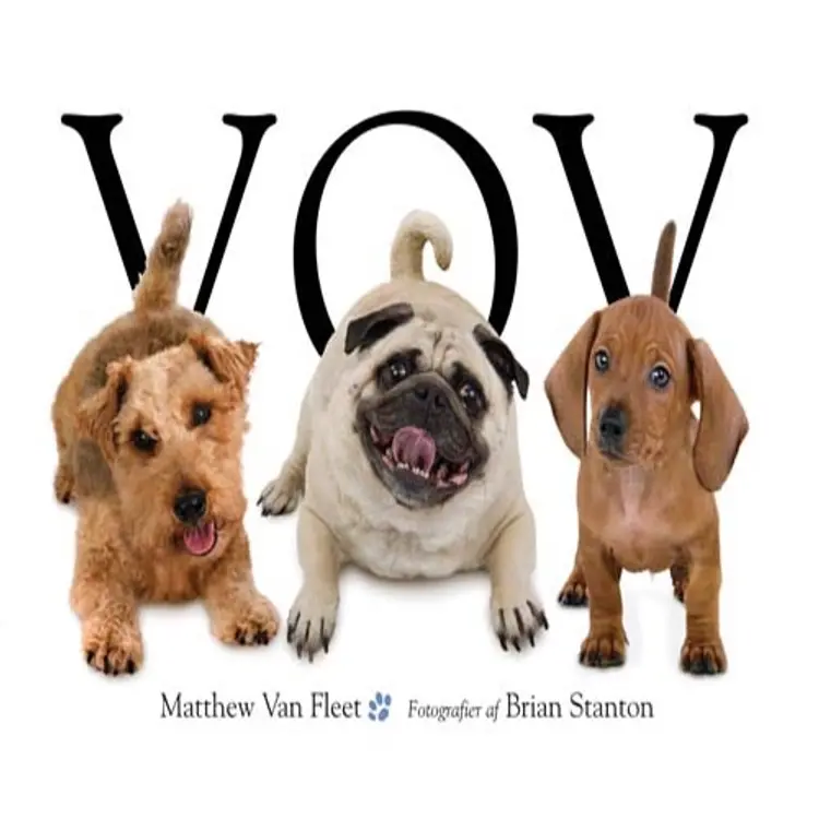 Vov af Matthew Van Fleet