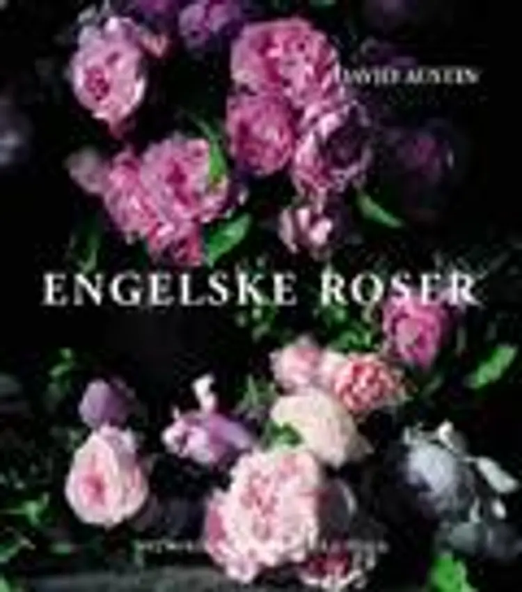 Engelske roser af David Austin