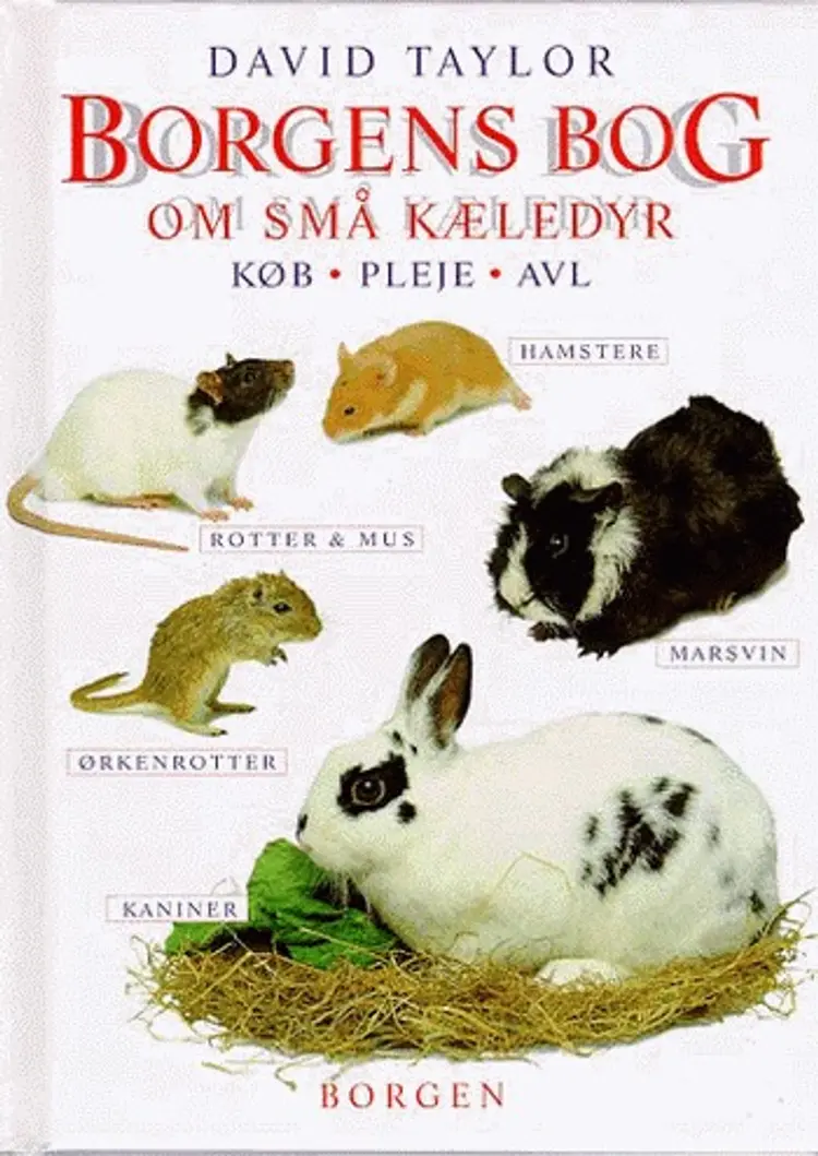 Borgens bog om små kæledyr af David Taylor
