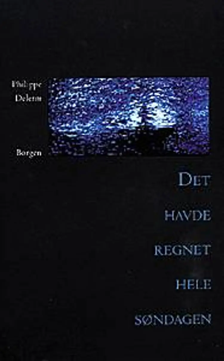 Det havde regnet hele søndagen af Philippe Delerm