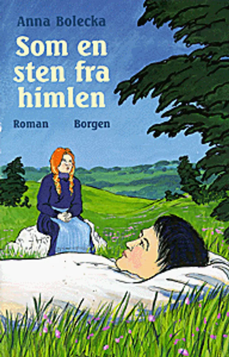 Som en sten fra himlen af Anna Bolecka