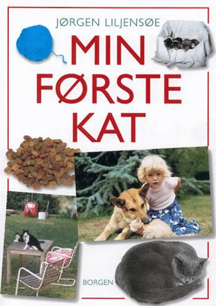 Min første kat af Jørgen Liljensøe