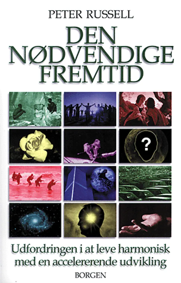 Den nødvendige fremtid af Peter Russell