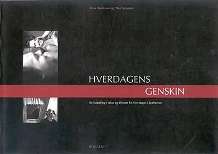 Hverdagens genskin af Anne Korsholm