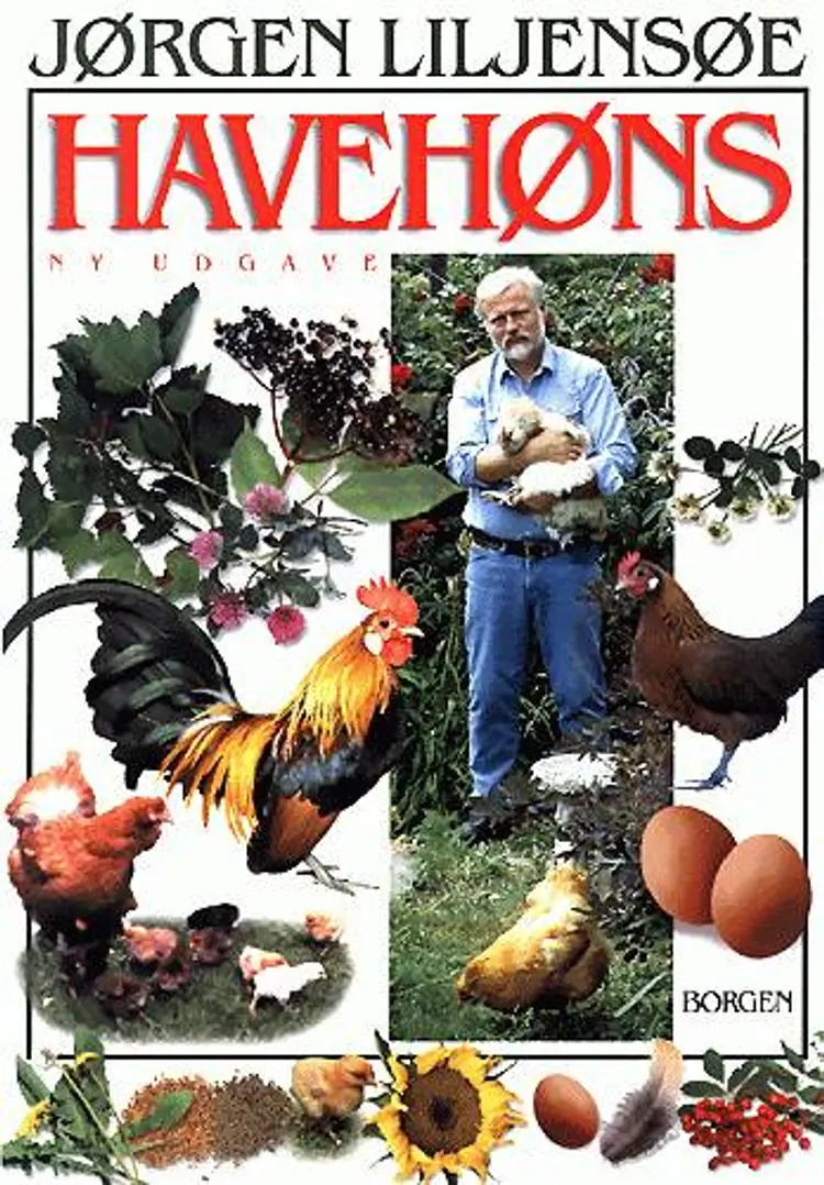 Havehøns af Jørgen Liljensøe