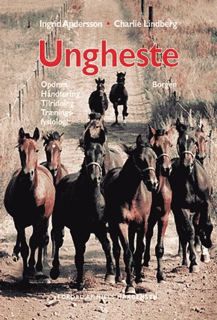 Ungheste af Ingrid Andersson