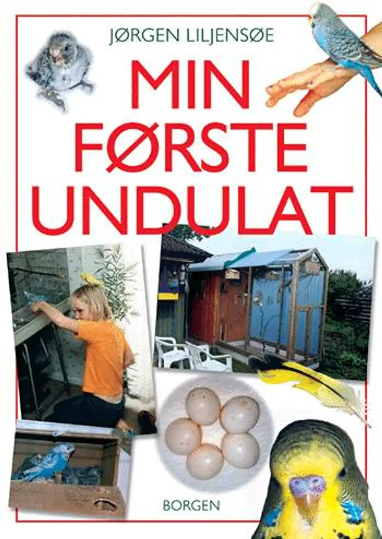 Min første undulat af Jørgen Liljensøe