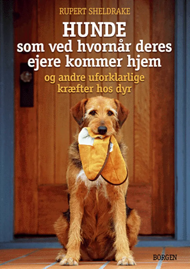 Hunde som ved hvornår deres ejere kommer hjem og andre uforklarlige kræfter hos dyr af Rupert Sheldrake