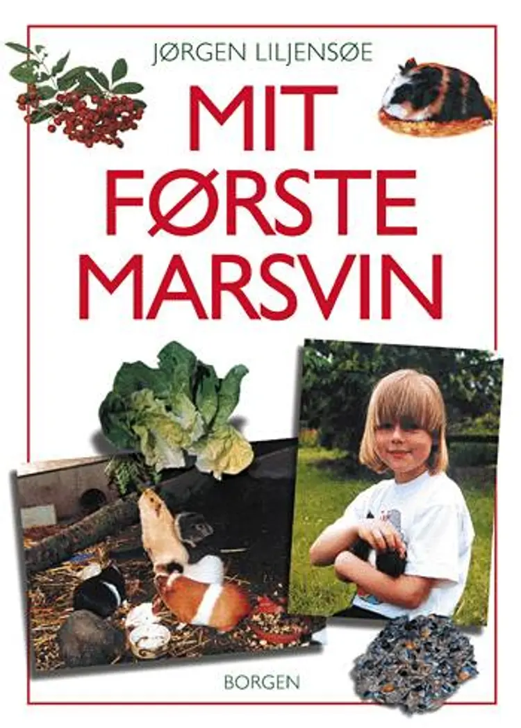Mit første marsvin af Jørgen Liljensøe