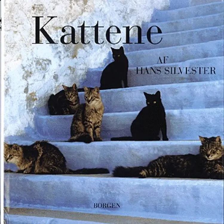 Kattene af Hans Silvester