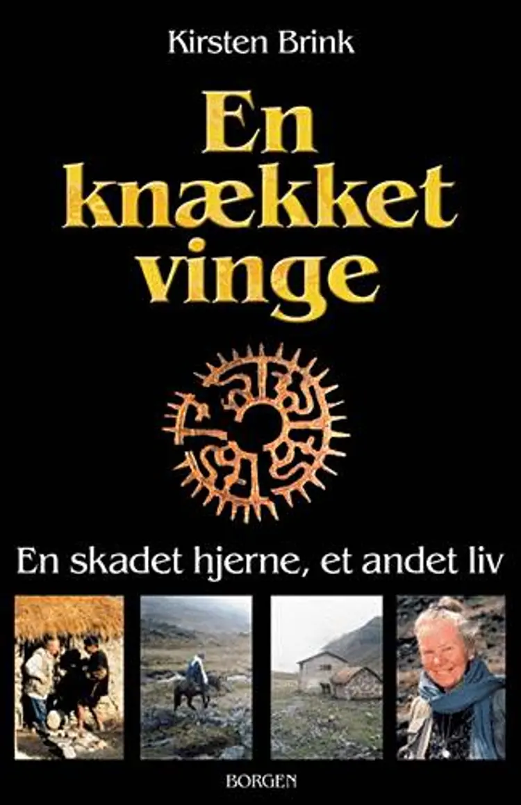 En knækket vinge af Kirsten Brink