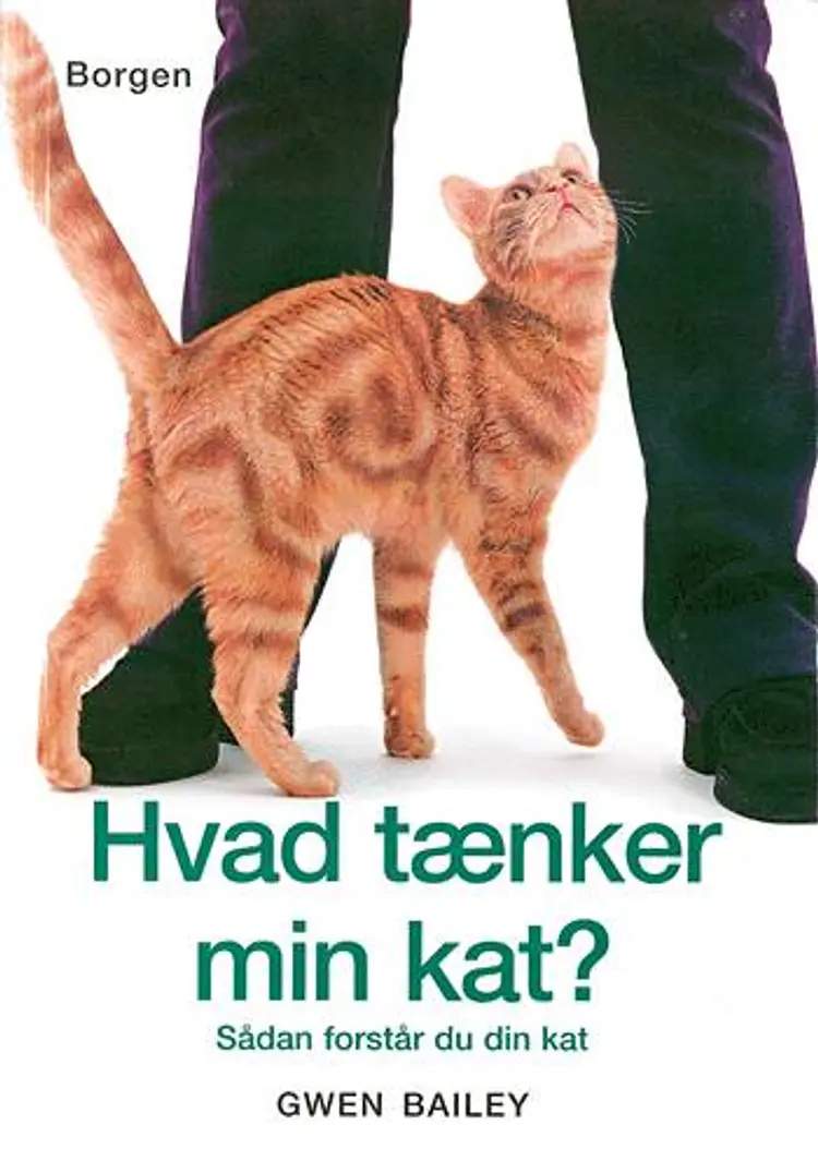 Hvad tænker min kat? af Gwen Bailey