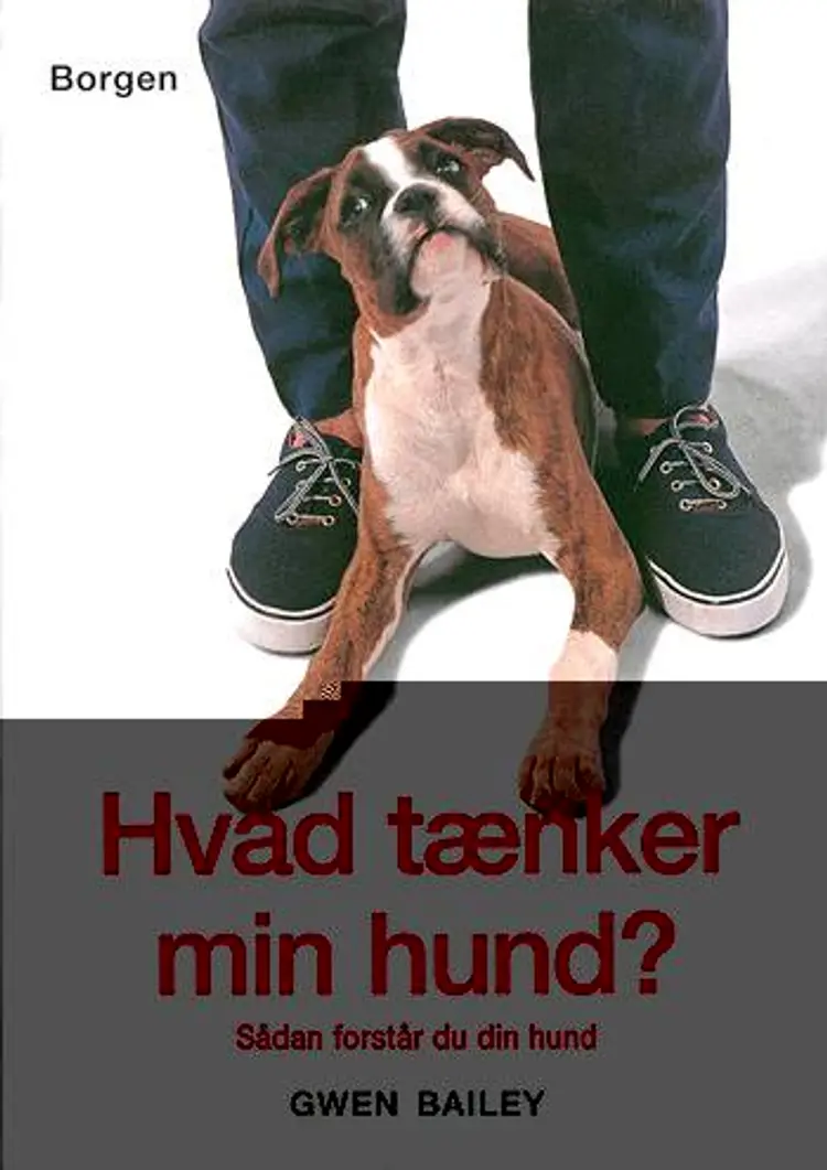Hvad tænker min hund? af Gwen Bailey