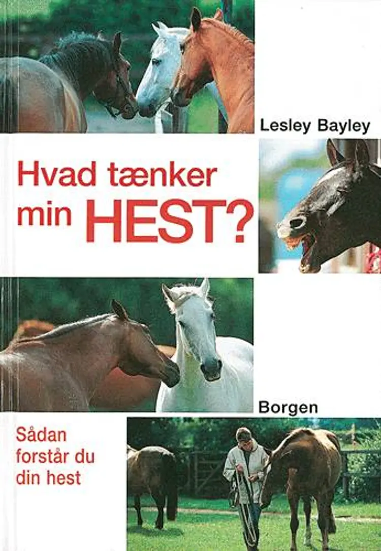 Hvad tænker min hest? af Lesley Bayley