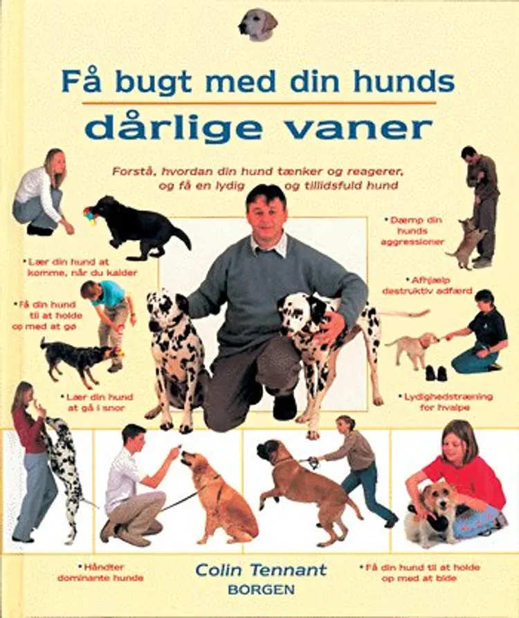 Få bugt med din hunds dårlige vaner af Colin Tennant
