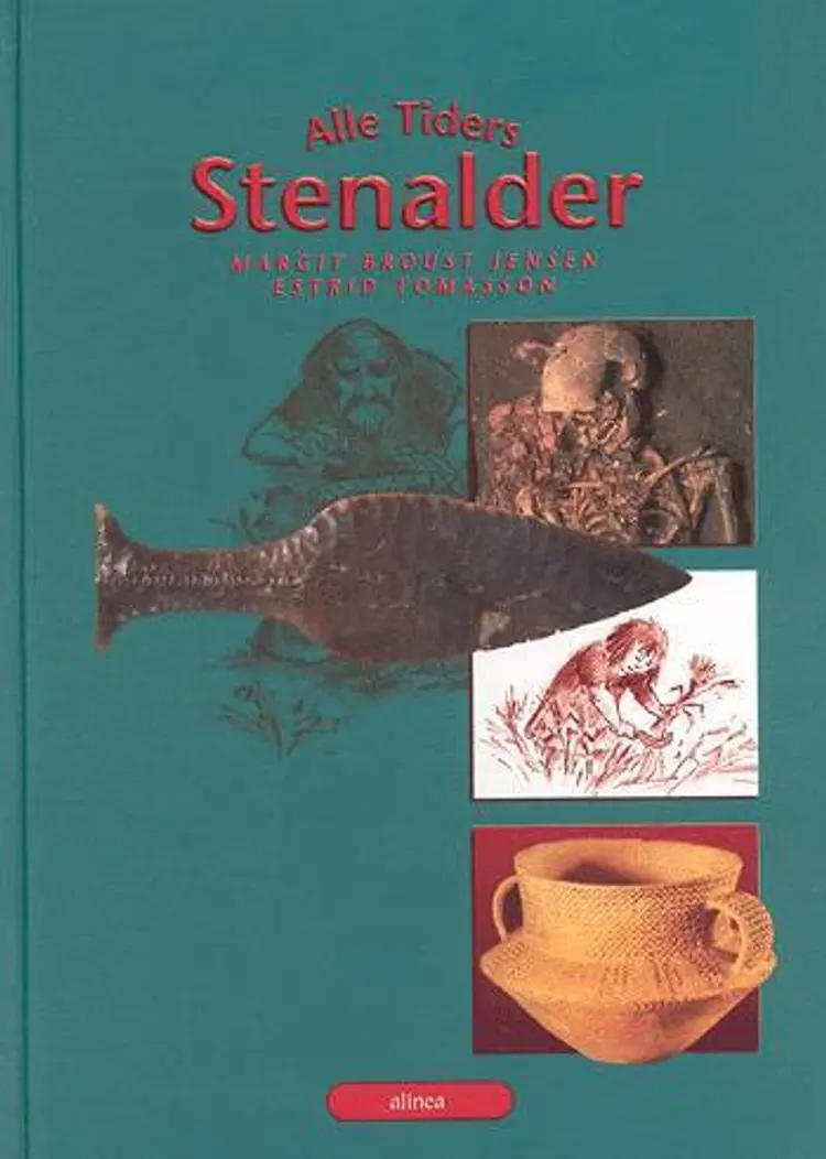 Alle tiders stenalder af Margit Broust Jensen