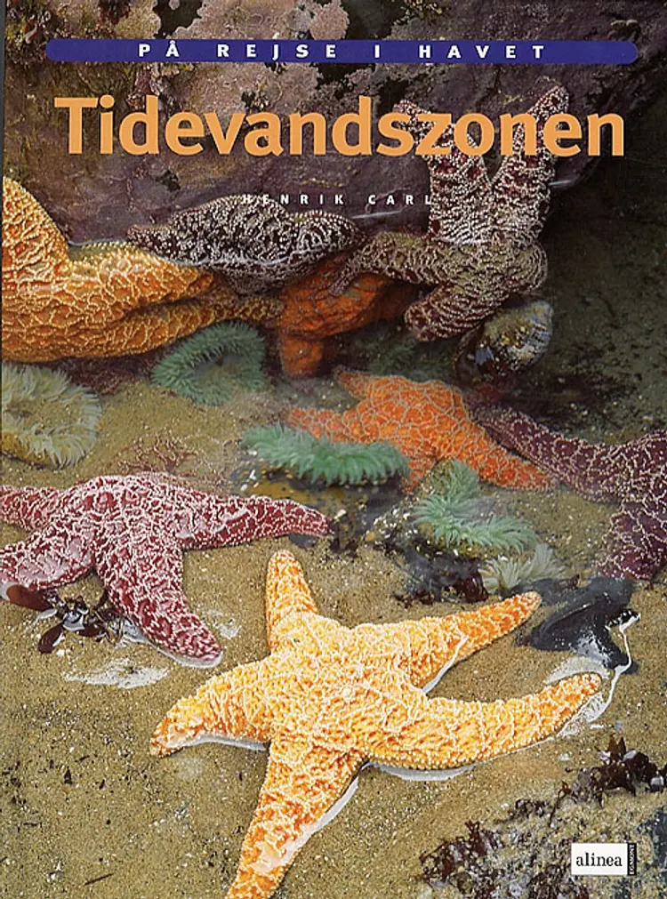 Tidevandszonen af Henrik Carl