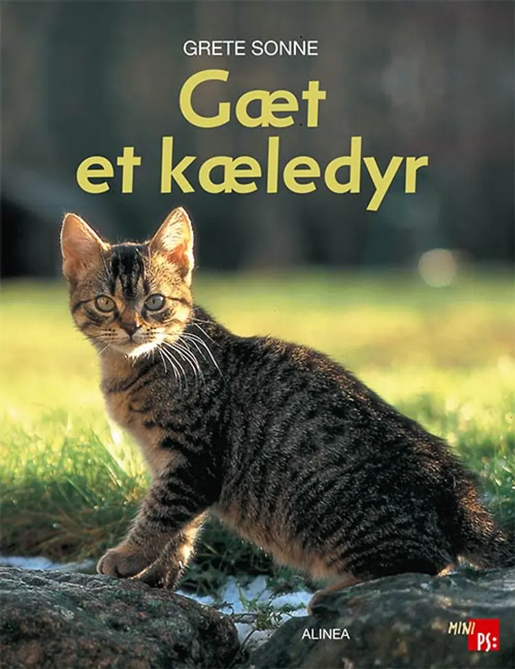 Gæt et kæledyr af Grete Sonne