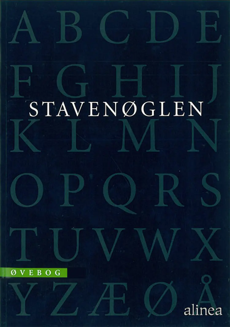 Stavenøglen af Dorthe Raun-Petersen