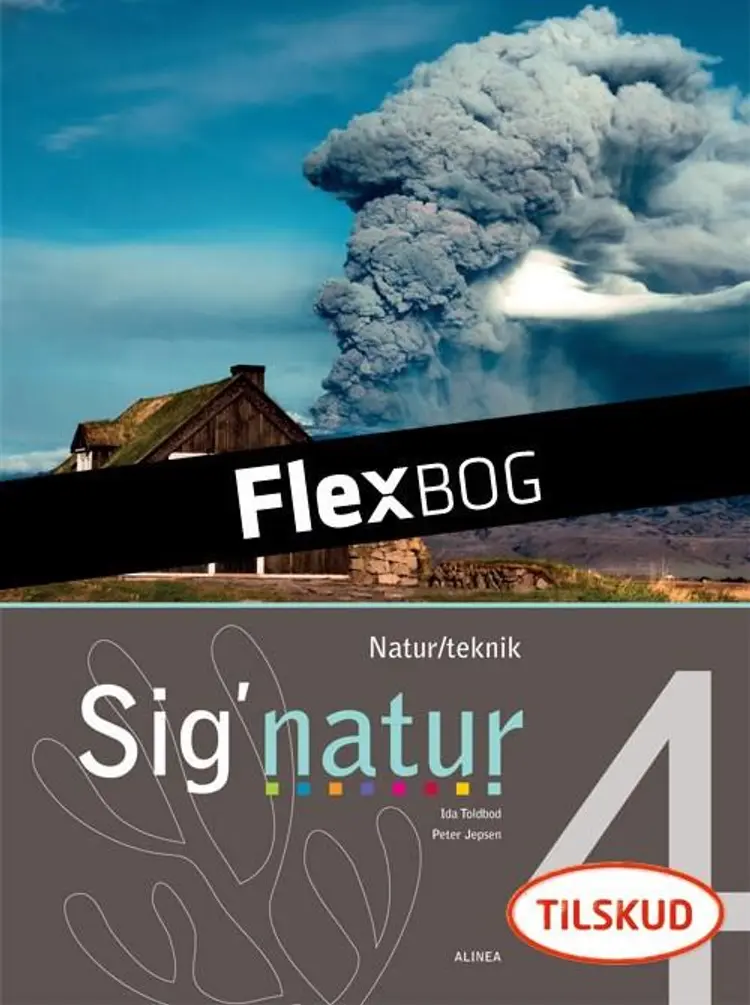 Sig'natur 4, Natur/teknologi, Elev af Ida Toldbod