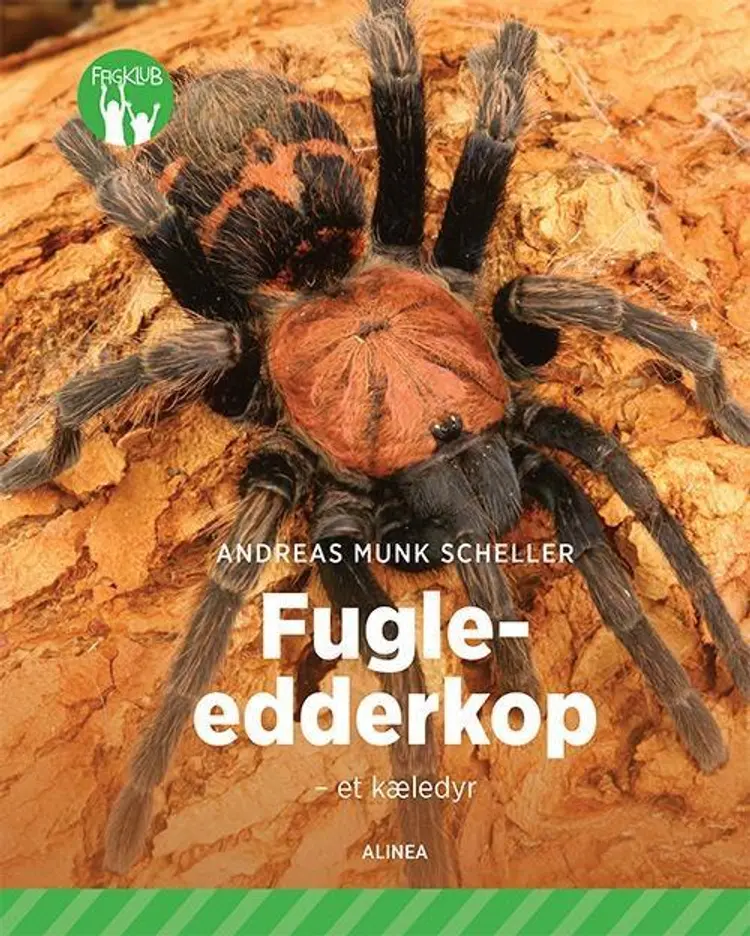 Fugleedderkop af Andreas Munk Scheller