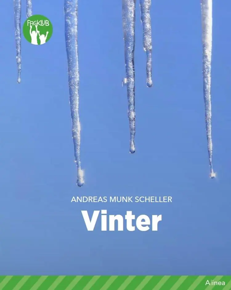 Vinter af Cecilie Bogh