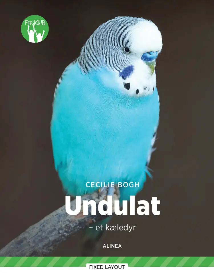 Undulat af Cecilie Bogh
