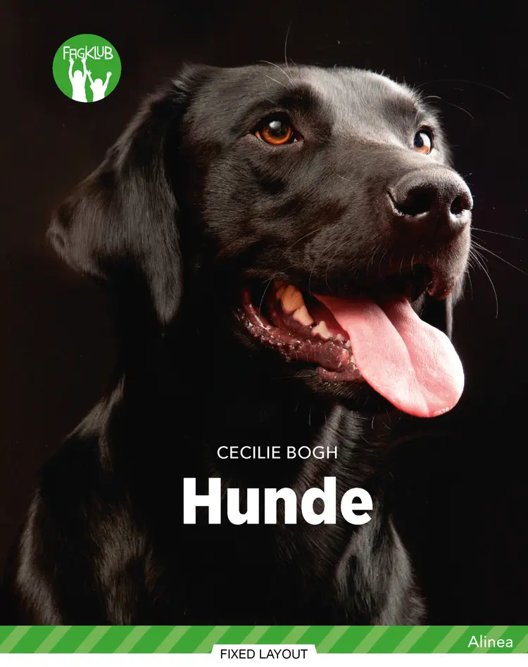 Hunde af Cecilie Bogh