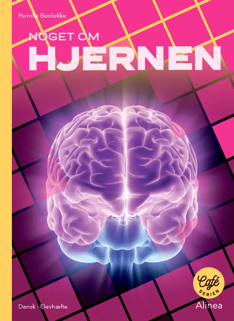 Noget om Hjernen, Gult niveau, 5 stk. af Pernille Bønløkke