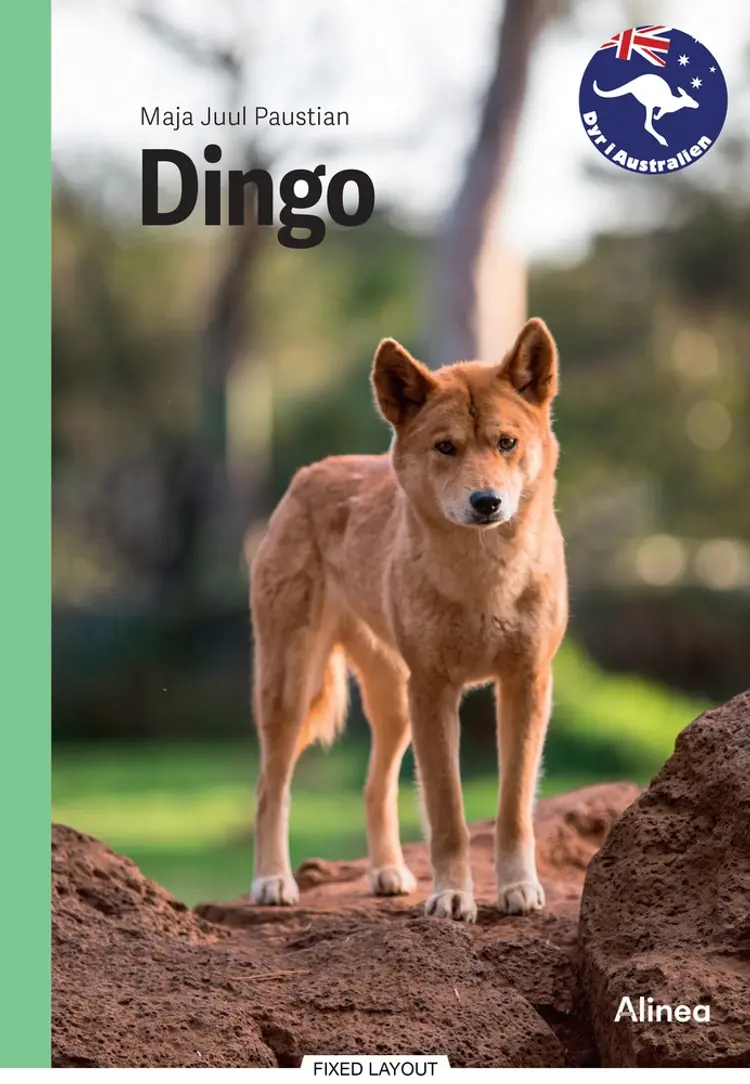 Dingo, Grøn Fagklub af Maja Juul Paustian