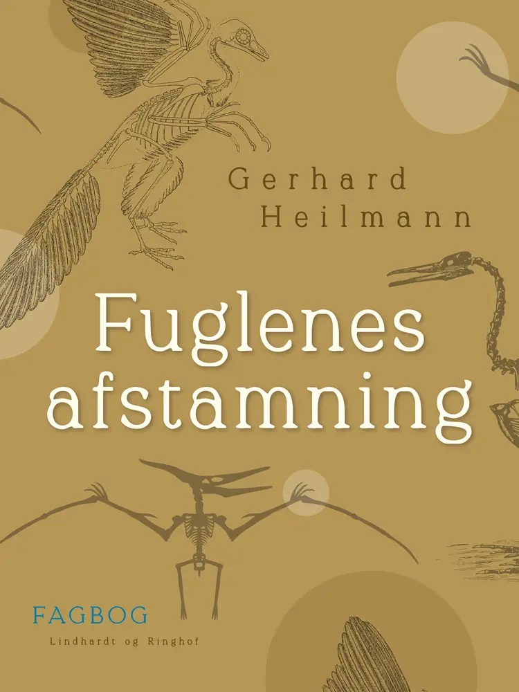 Fuglenes afstamning af Gerhard Heilmann