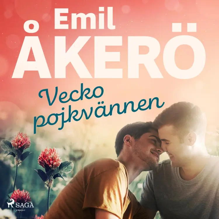 Veckopojkvännen af Emil Åkerö