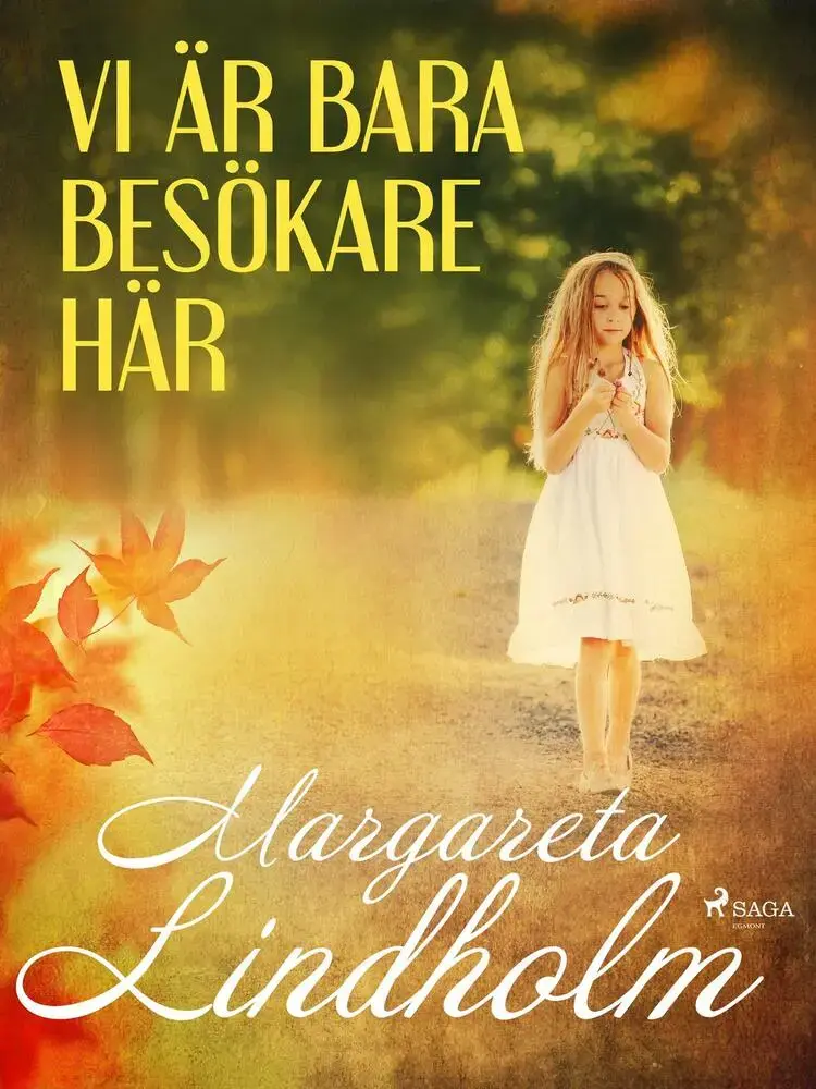 Vi är bara besökare här af Margareta Lindholm