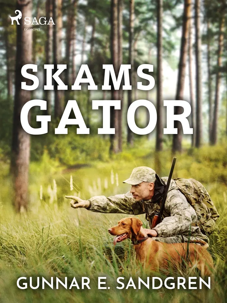 Skams gator af Gunnar E. Sandgren