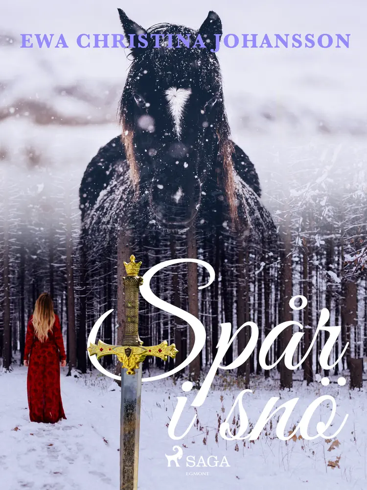 Spår i snö af Ewa Christina Johansson