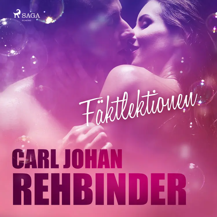 Fäktlektionen af Carl Johan Rehbinder