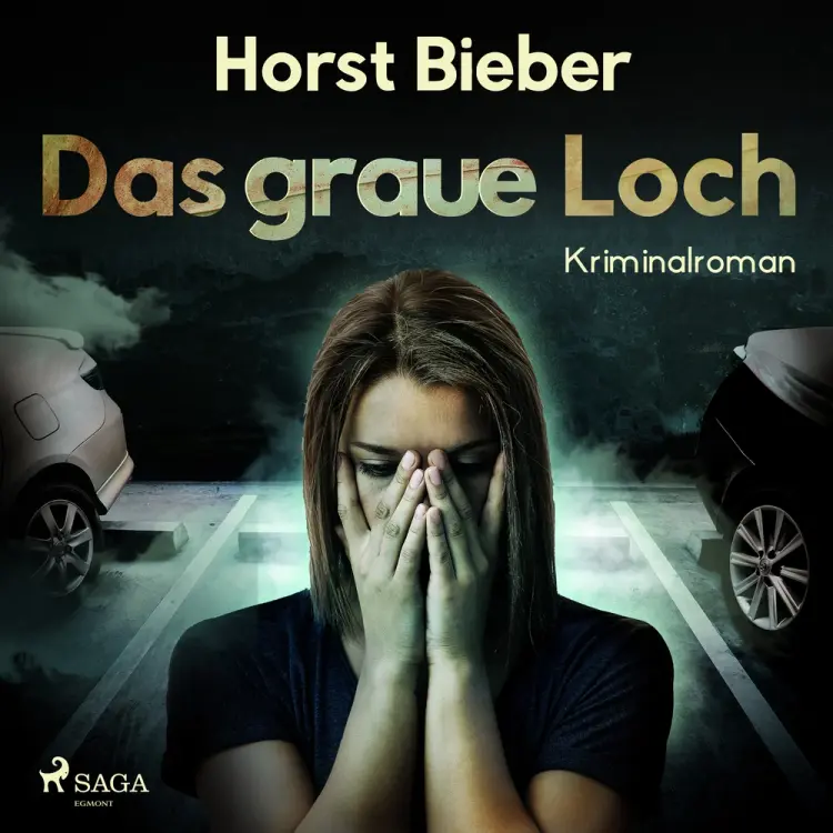 Das graue Loch - Kriminalroman af Horst Bieber
