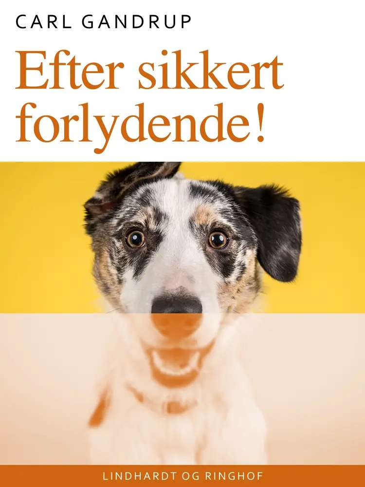 Efter sikkert forlydende! af Carl Gandrup
