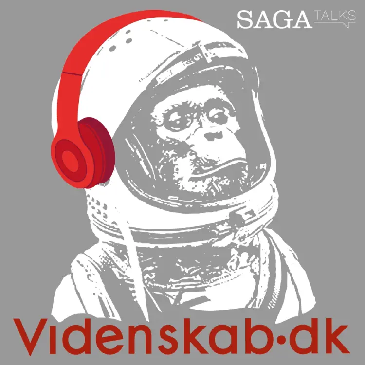 Sådan gennemskuer du fake-news i forskning af Videnskab.dk