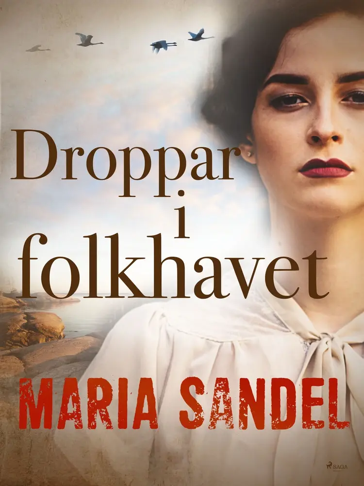 Droppar i folkhavet af Maria Sandel