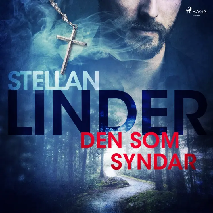 Den som syndar af Stellan Linder