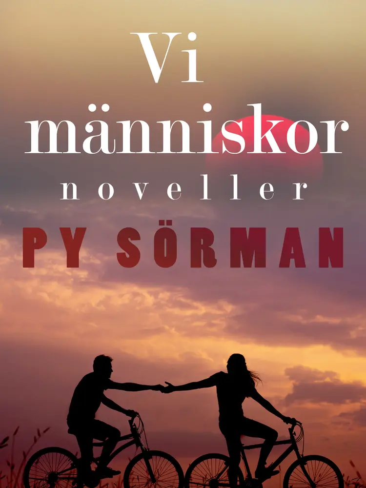 Vi människor : noveller af Py Sörman