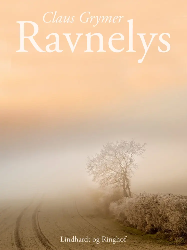 Ravnelys af Claus Grymer