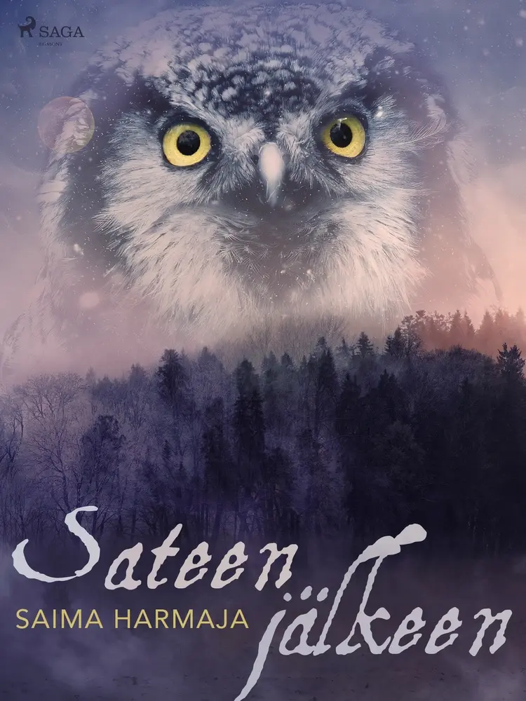 Sateen jälkeen af Saima Harmaja
