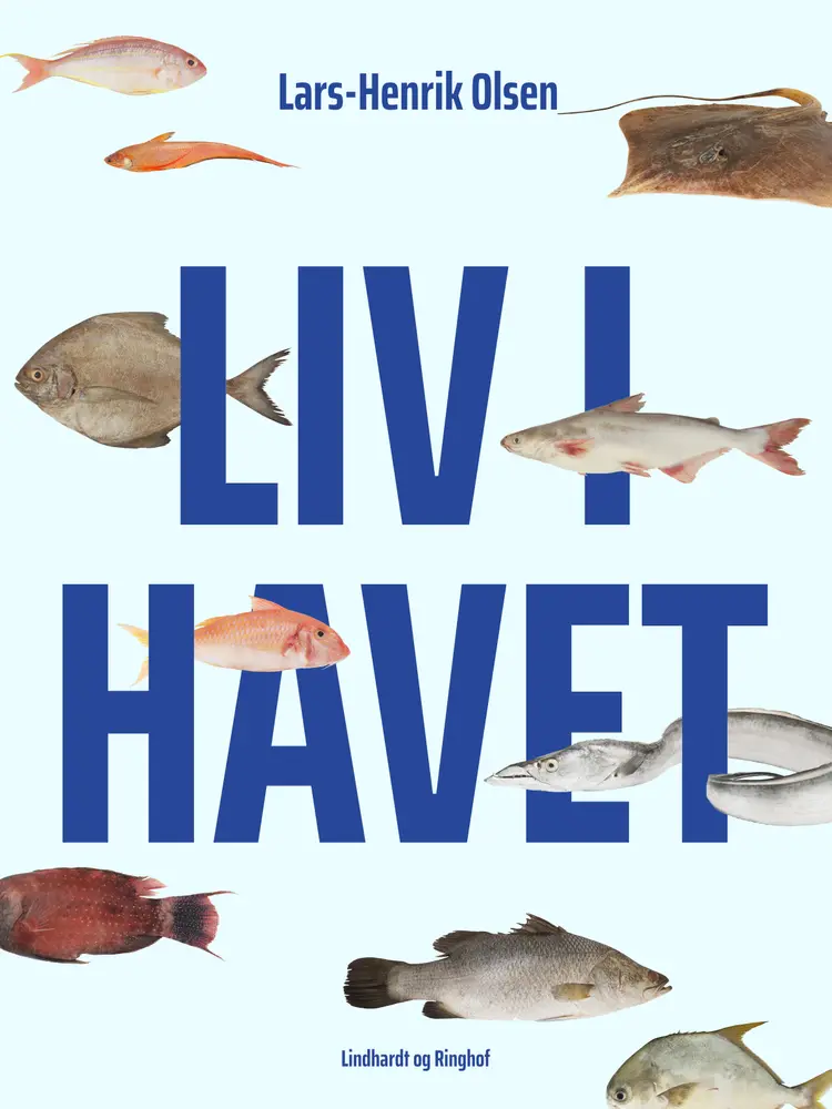 Liv i havet af Lars-Henrik Olsen